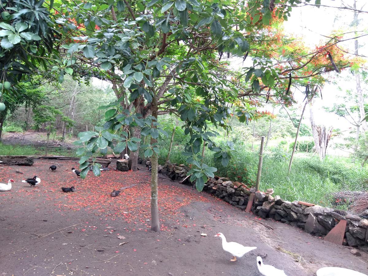 Casa Da Mamae Villa Barra de São João Buitenkant foto